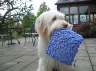Chloe 08.05.2011